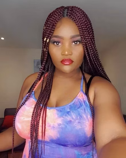 Newlook Black Double Dutch Braids Lightweight Swiss Soft Lace Frontal Twist Braided Wigs with Baby Hair for Women