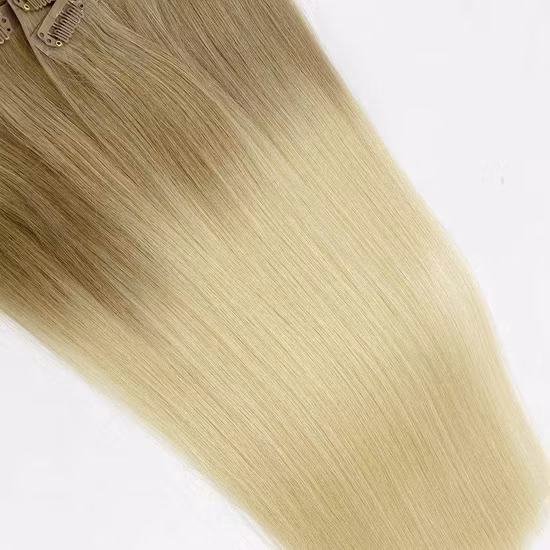 Denghao100% Human Hair Straight Human Hair Virgin Hair Clip in Hair Extension