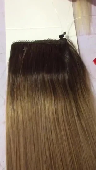 Professional Manufacturer Wholesale Price Indian Russian Brazilian Human Hair Halo in Hair Extensions