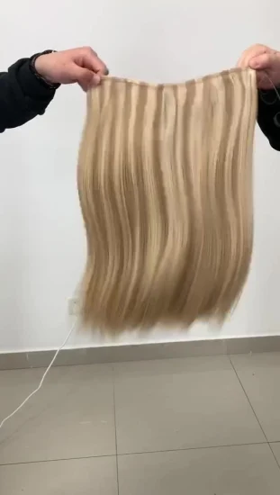 No Shedding 100% Brazilian Remy Russian Human Hair Double Drown Halo in Hair Extensions