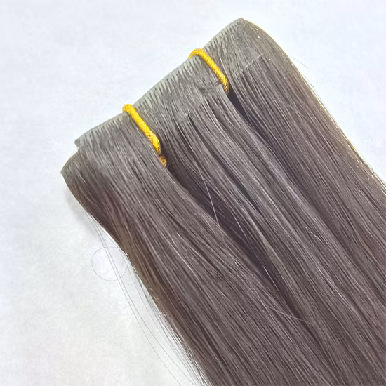 Aviva Salon Quality Virgin Cuticles Aligned Human Hair Balayage Ombre Tape Hair Extension (AV